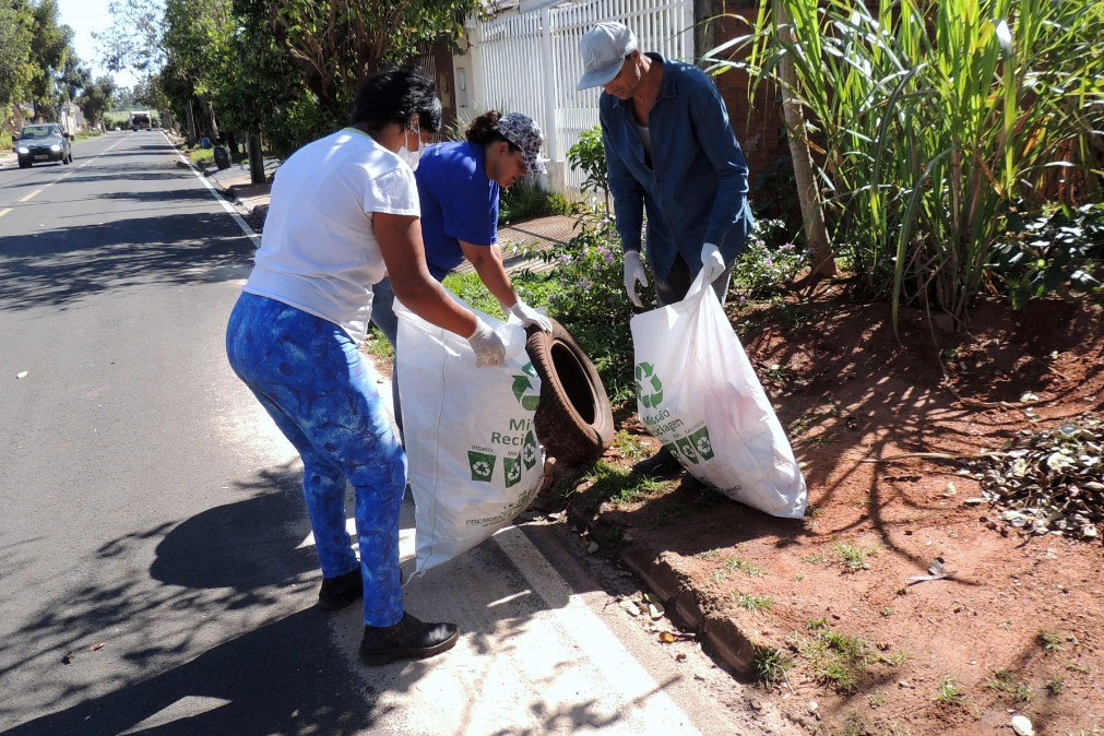 cCombate à dengue - SESA/PR