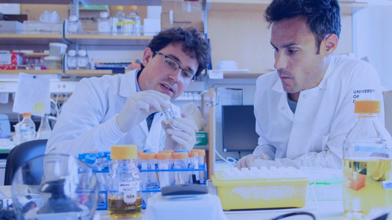 Universidade Califórnia