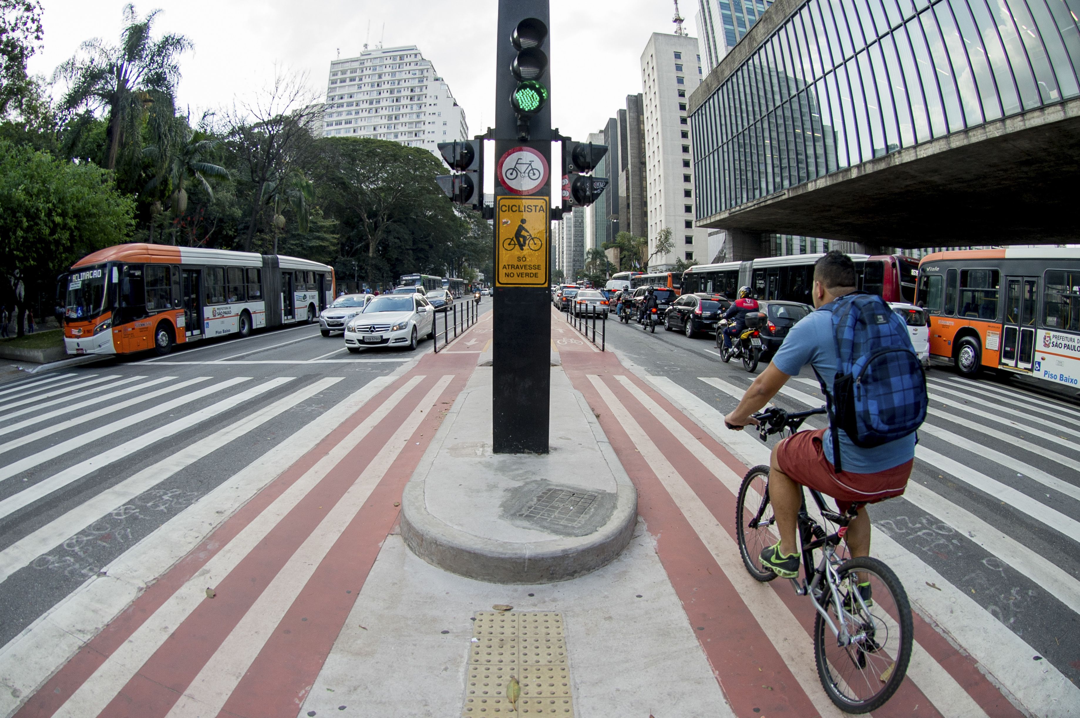 Ciclovia da Av. Paulista 02