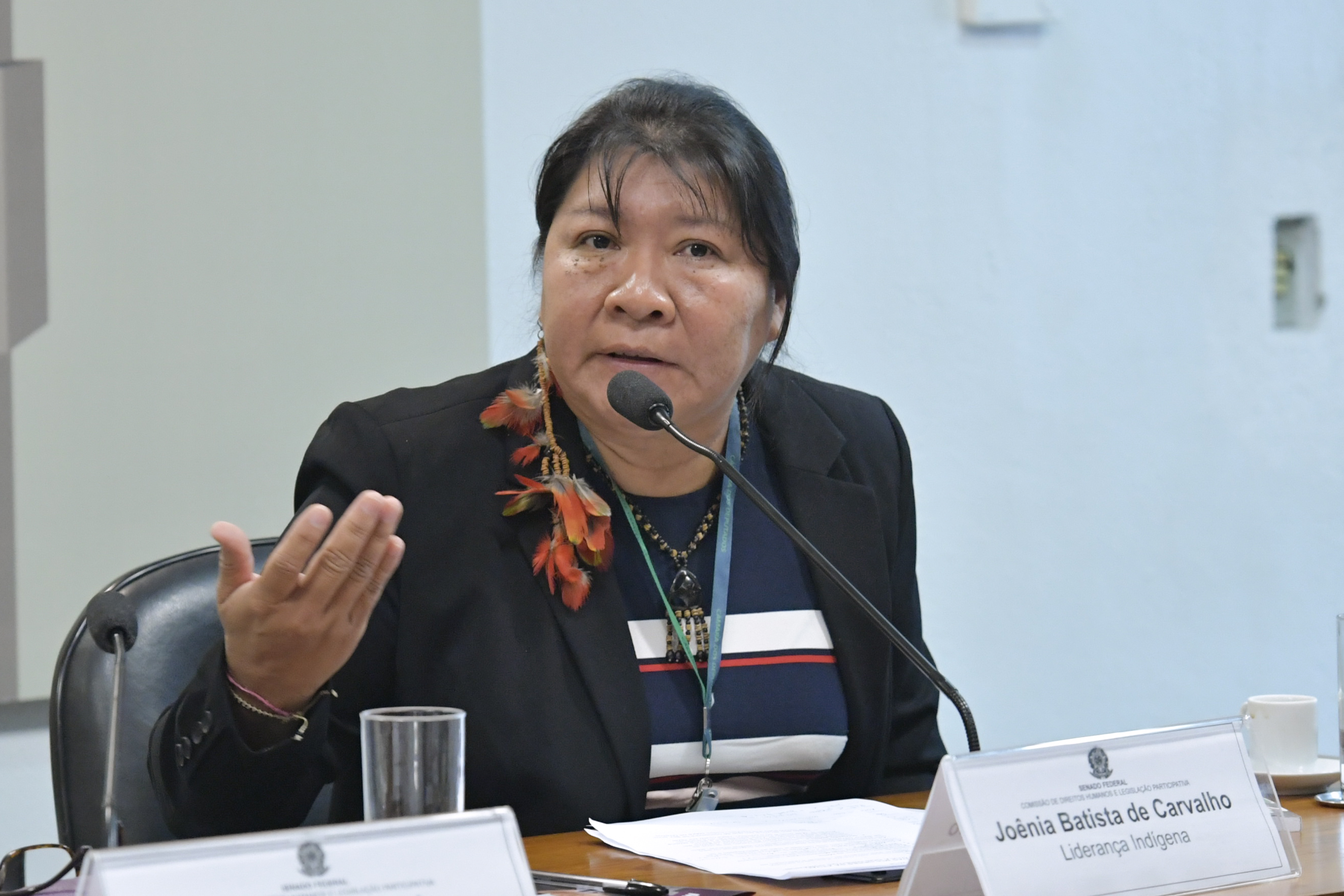 Joênia Wapichana é a primeira mulher indígena a ser eleita deputada federal. Foto: Geraldo Magela/Agência Senado.