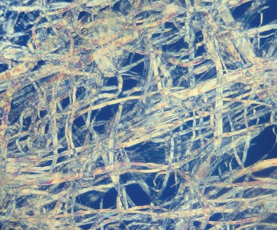 celulose