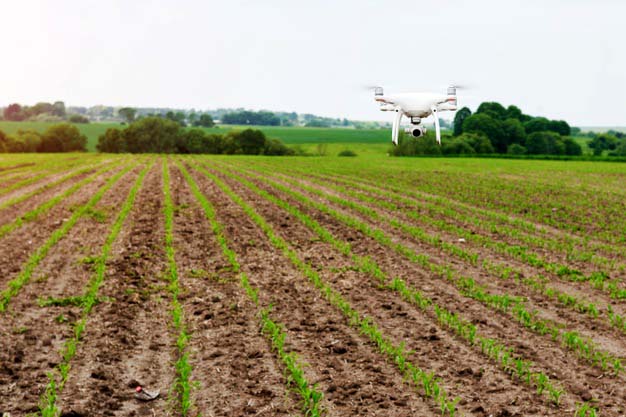 drone freepik