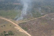 Detalhe de área desmatada na Amazônia (Foto: WWF Brasil)