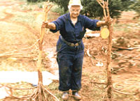 Victoria Rossetti