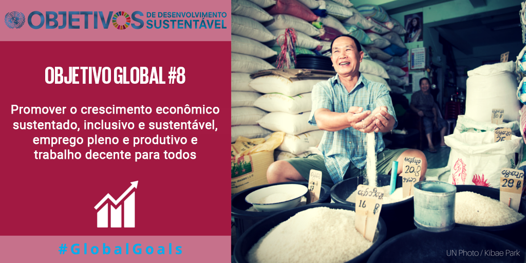 Objetivo 8 
