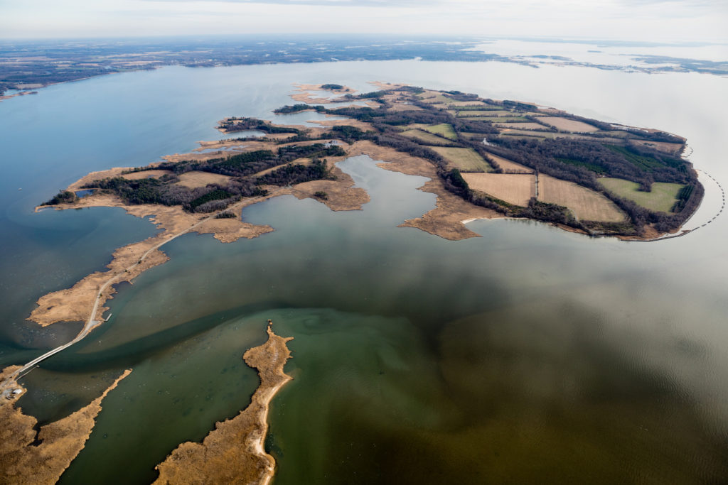 Reserva de vida silvestre no condado de Kent, em Maryland, nos Estados Unidos. Na imagem, vê-se o rio Chester, um dos cursos d’água que desemboca na Baía de Chesapeake. Foto: Programa da Baía de Chesapeake/Will Parson