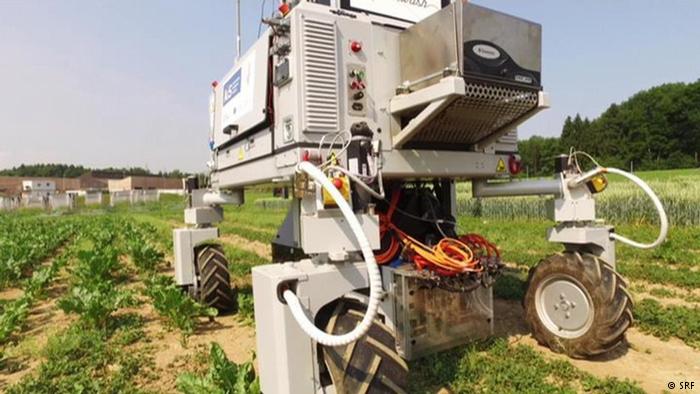 Robos participam da lavoura. Foto: Deutsche Welle Brasil