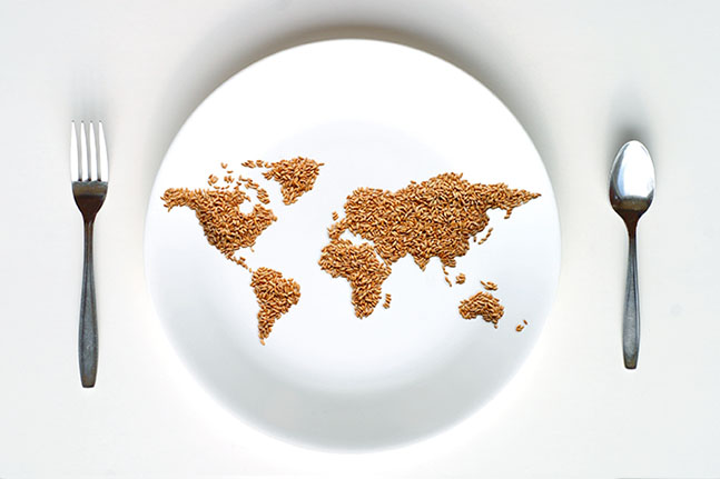 world food